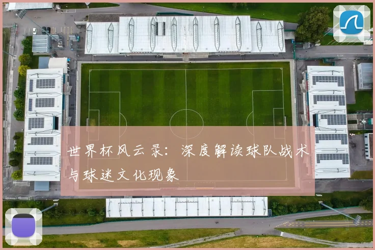 世界杯风云录：深度解读球队战术与球迷文化现象