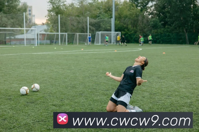 多媒体互动体验